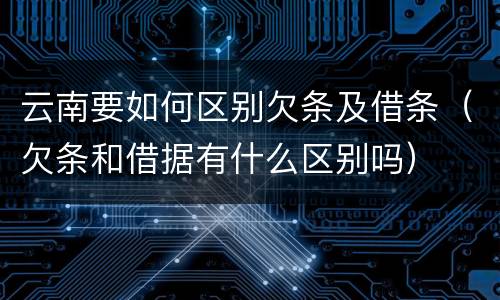 云南要如何区别欠条及借条（欠条和借据有什么区别吗）