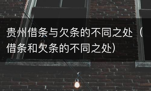 贵州借条与欠条的不同之处（借条和欠条的不同之处）