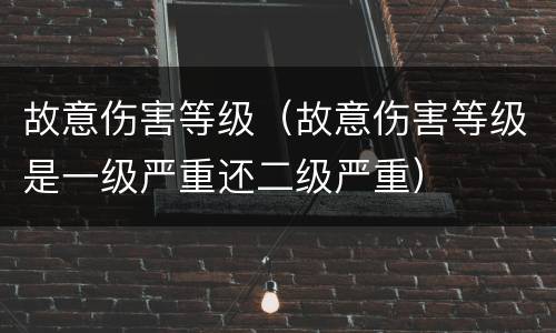 故意伤害等级（故意伤害等级是一级严重还二级严重）