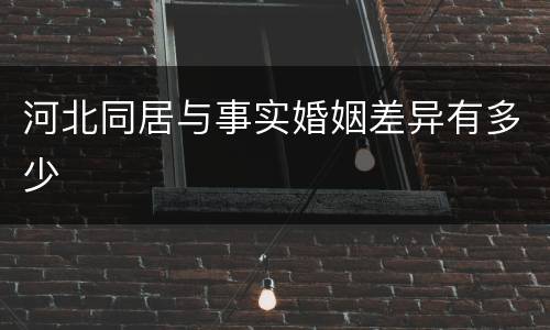 河北同居与事实婚姻差异有多少