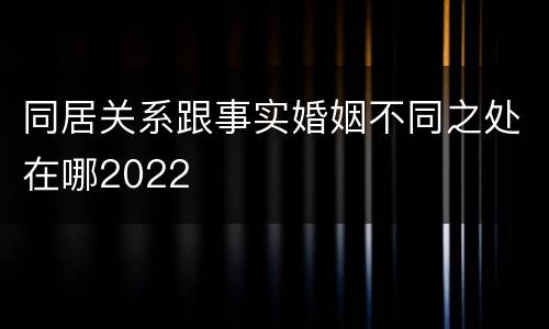 同居关系跟事实婚姻不同之处在哪2022
