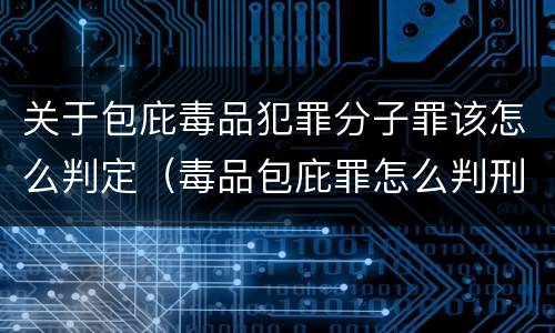关于包庇毒品犯罪分子罪该怎么判定（毒品包庇罪怎么判刑）