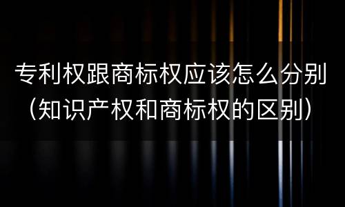 专利权跟商标权应该怎么分别（知识产权和商标权的区别）