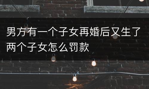 男方有一个子女再婚后又生了两个子女怎么罚款