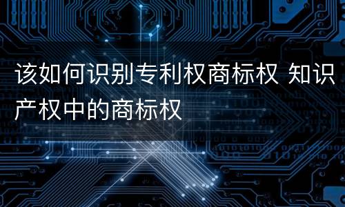 该如何识别专利权商标权 知识产权中的商标权