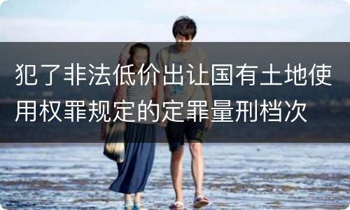 犯了非法低价出让国有土地使用权罪规定的定罪量刑档次