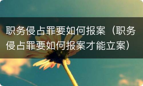 职务侵占罪要如何报案（职务侵占罪要如何报案才能立案）