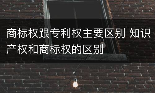 商标权跟专利权主要区别 知识产权和商标权的区别