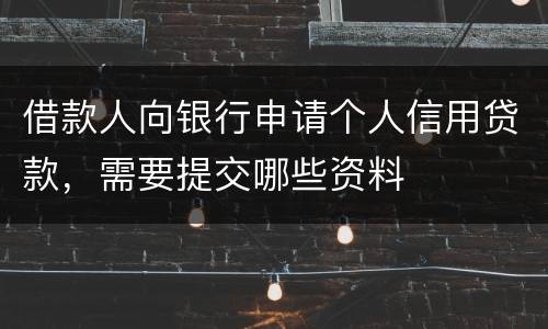 借款人向银行申请个人信用贷款，需要提交哪些资料