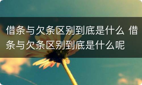 借条与欠条区别到底是什么 借条与欠条区别到底是什么呢