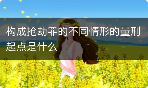 构成抢劫罪的不同情形的量刑起点是什么