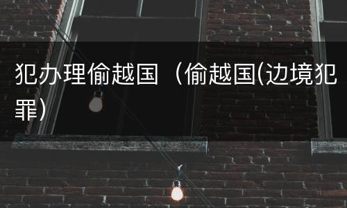 犯办理偷越国（偷越国(边境犯罪）