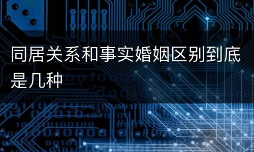 同居关系和事实婚姻区别到底是几种