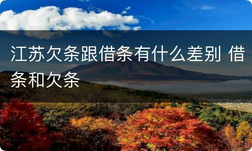 江苏欠条跟借条有什么差别 借条和欠条