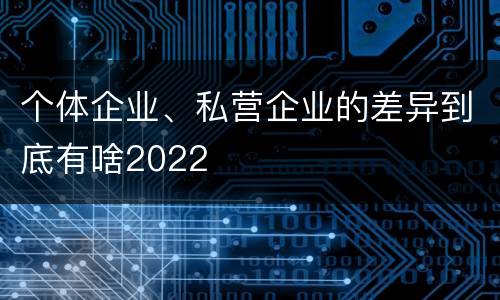 个体企业、私营企业的差异到底有啥2022