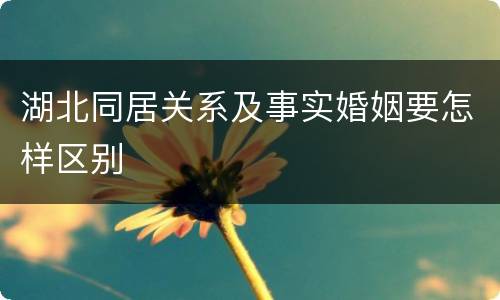 湖北同居关系及事实婚姻要怎样区别