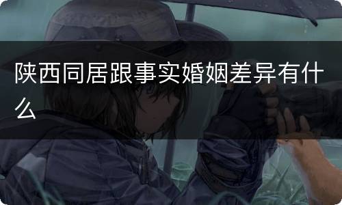 陕西同居跟事实婚姻差异有什么