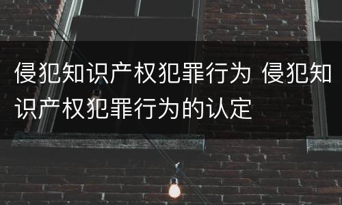 侵犯知识产权犯罪行为 侵犯知识产权犯罪行为的认定
