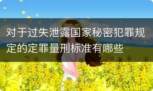 对于过失泄露国家秘密犯罪规定的定罪量刑标准有哪些
