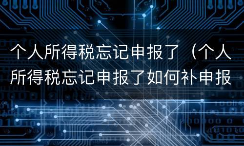 个人所得税忘记申报了（个人所得税忘记申报了如何补申报）