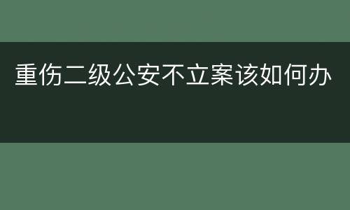 重伤二级公安不立案该如何办