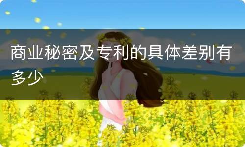 商业秘密及专利的具体差别有多少