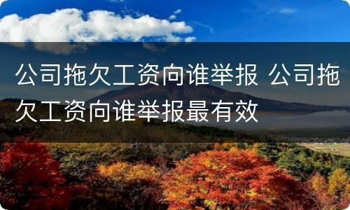 公司拖欠工资向谁举报 公司拖欠工资向谁举报最有效