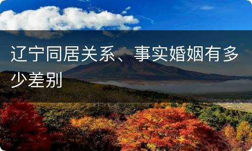 辽宁同居关系、事实婚姻有多少差别