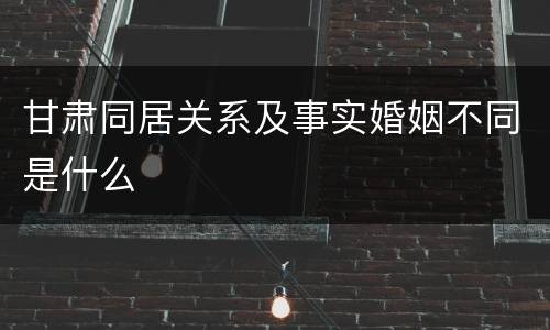 甘肃同居关系及事实婚姻不同是什么