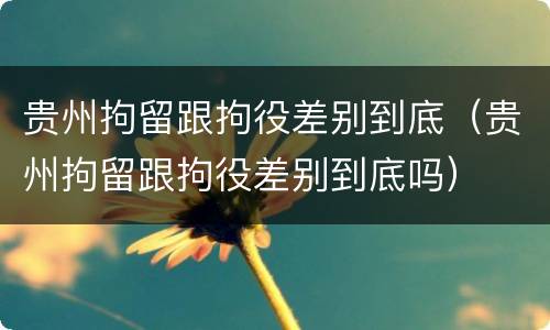 贵州拘留跟拘役差别到底（贵州拘留跟拘役差别到底吗）