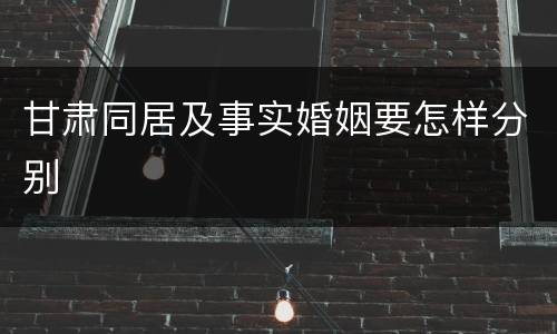 甘肃同居及事实婚姻要怎样分别