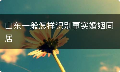 山东一般怎样识别事实婚姻同居