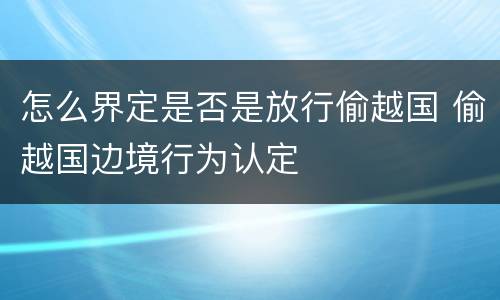 怎么界定是否是放行偷越国 偷越国边境行为认定