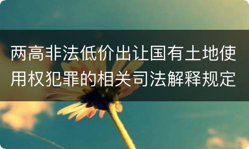 两高非法低价出让国有土地使用权犯罪的相关司法解释规定是什么