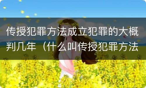 传授犯罪方法成立犯罪的大概判几年（什么叫传授犯罪方法罪）