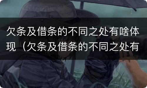 欠条及借条的不同之处有啥体现（欠条及借条的不同之处有啥体现吗）