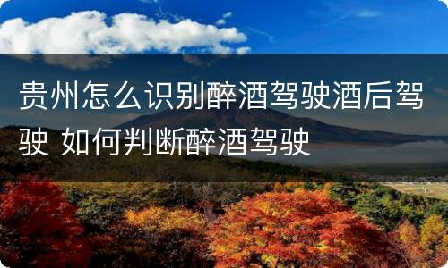 贵州怎么识别醉酒驾驶酒后驾驶 如何判断醉酒驾驶
