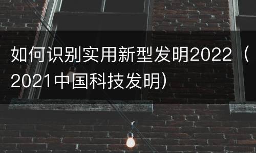 如何识别实用新型发明2022（2021中国科技发明）