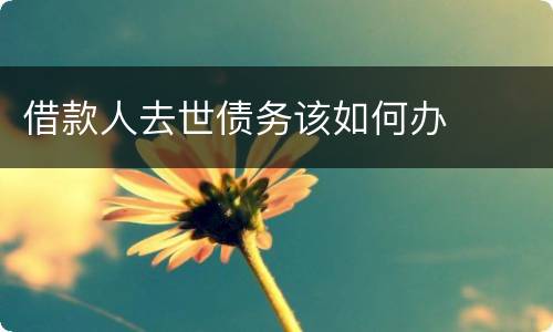 借款人去世债务该如何办