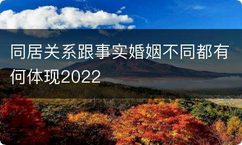 同居关系跟事实婚姻不同都有何体现2022