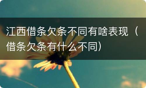 江西借条欠条不同有啥表现（借条欠条有什么不同）