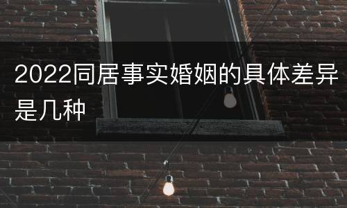 2022同居事实婚姻的具体差异是几种