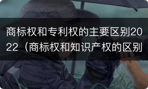 商标权和专利权的主要区别2022（商标权和知识产权的区别）