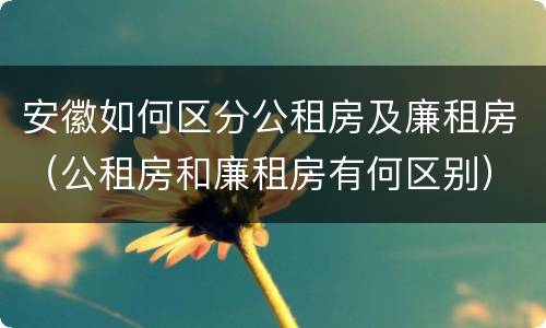 安徽如何区分公租房及廉租房（公租房和廉租房有何区别）