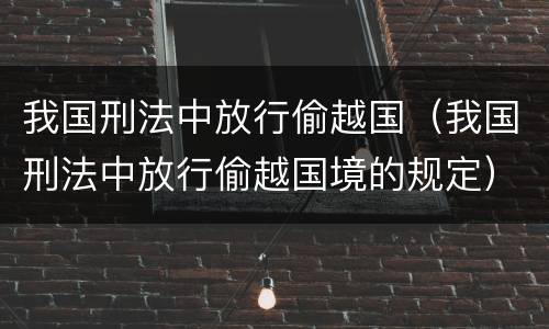 我国刑法中放行偷越国（我国刑法中放行偷越国境的规定）