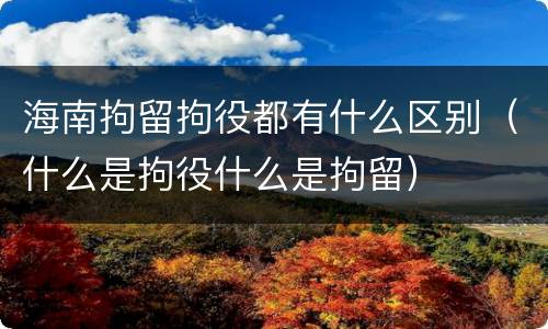 海南拘留拘役都有什么区别（什么是拘役什么是拘留）