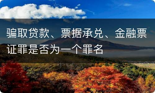 骗取贷款、票据承兑、金融票证罪是否为一个罪名