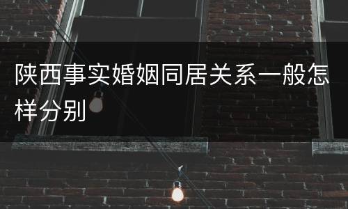 陕西事实婚姻同居关系一般怎样分别