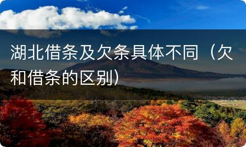 湖北借条及欠条具体不同（欠和借条的区别）