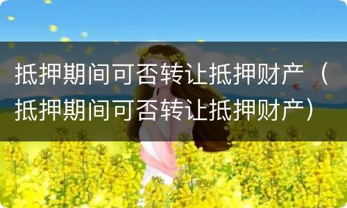 抵押期间可否转让抵押财产（抵押期间可否转让抵押财产）